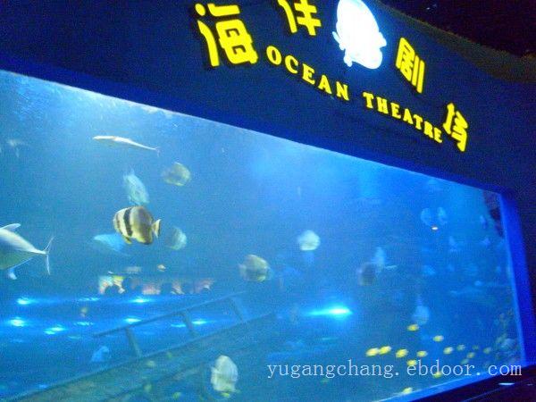 上海大型亚克力鱼缸产品-亚克力鱼缸采购