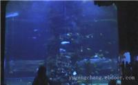 上海大型亚克力鱼缸-观赏大型鱼缸摆放