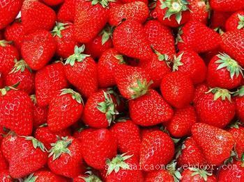 青浦摘草莓多少钱一斤