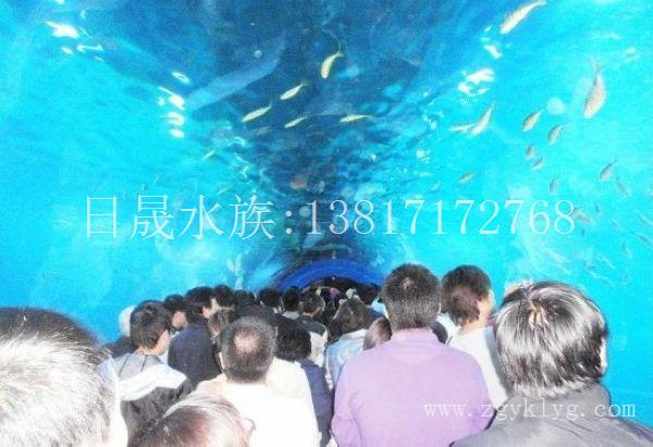 上海鱼缸定做-新款亚克力鱼缸展示图