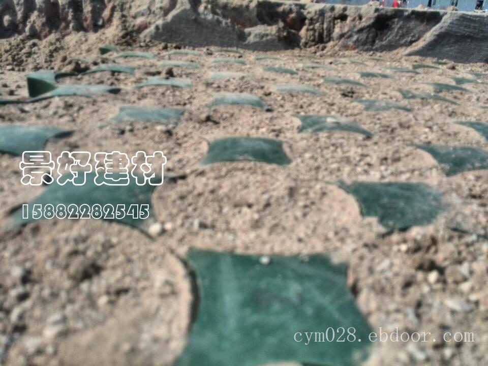 新型植草格塑料植草格草坪砖厂家直销
