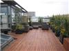 泰州园林景观公司-屋顶花园，泰州屋顶花园工程，泰州屋顶绿化施工