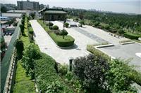 温州屋顶景观营造公司，温州屋面绿化工程，温州屋顶花园