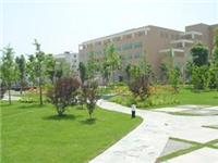 南京绿化工程公司-学校景观设计，南京校园绿化工程，南京学校植物养护