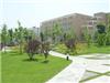 南京绿化工程公司-学校景观设计，南京校园绿化工程，南京学校植物养护