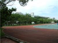 上海学校景观绿化公司，校园绿化工程，校园景观设计