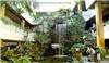 上海绿化公司-室内景观植物绿化设计，植物配置