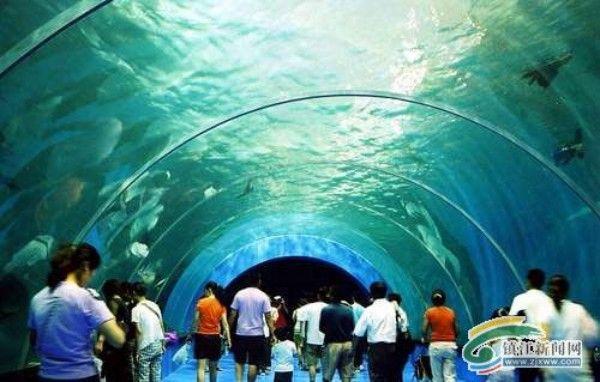 上海大型亚克力鱼缸定做厂-圆柱形大型鱼缸定做