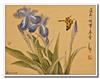 张继馨作品欣赏18