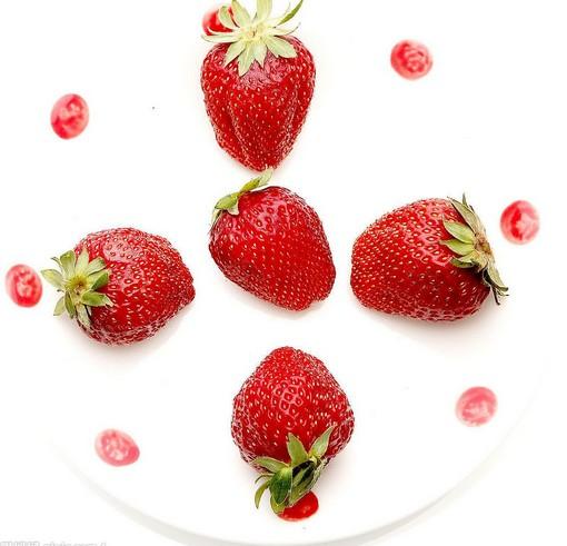 青浦草莓/青浦草莓采摘