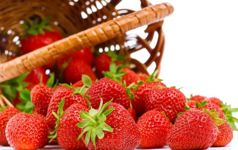 上海摘草莓/上海摘草莓哪里好
