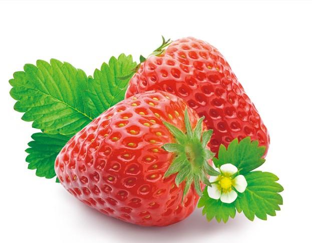 青浦采草莓_上海采草莓_上海采草莓哪家好_采草莓价格