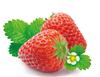 青浦采草莓_上海采草莓_上海采草莓哪家好_采草莓价格