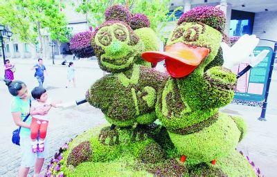 上海植物雕塑、上海植物雕塑设计、植物小品、上海植物雕塑公司