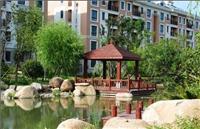 杭州小区绿化、宁波小区绿化设计、温州小区绿化工程