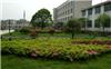 上海工厂景观绿化设计、上海工厂景观绿化工程公司