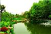 上海公园景观工程、上海公园景观规划、上海公园景观设计