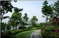 上海公园景观营造公司、上海公园植物景观设计公司