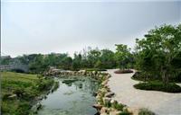 上海景观公司、上海景观营造公司、上海景观公司-公园绿化