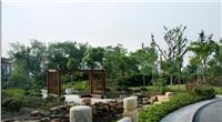 城市公园绿化项目、上海城市公园绿化设计、上海城市公园绿化公司