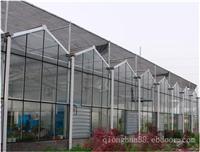 温室大棚建设_G96玻璃温室