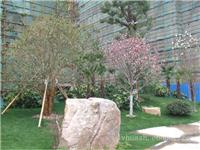上海室外绿化工程公司/园林景观24