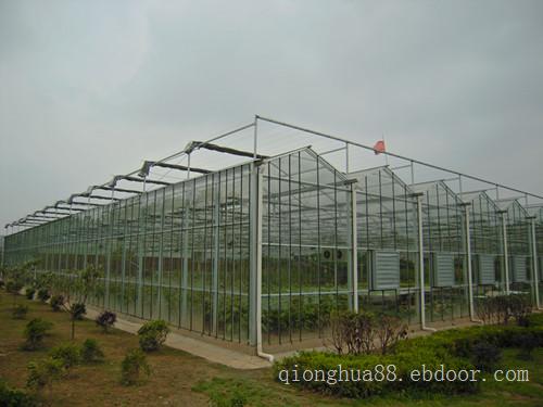 上海温室大棚_玻璃温室大棚建设