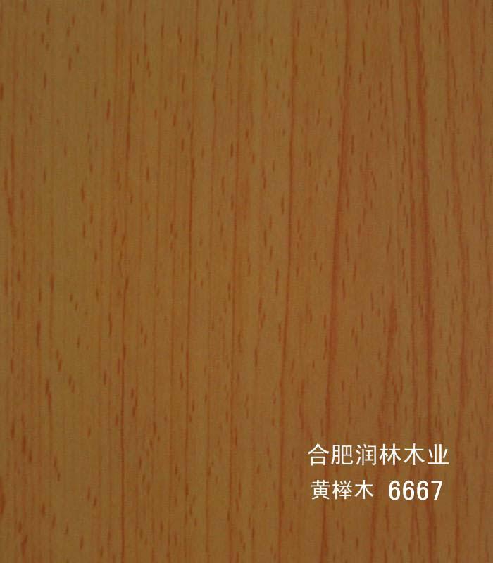 润林编号 6667