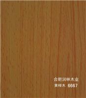 润林编号 6667