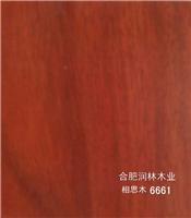 润林编号 6661