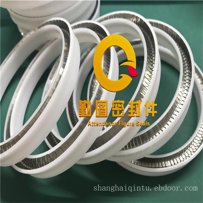 耐低温196度弹簧蓄能密封圈+四氟弹簧张力密封圈+端面密封泛塞封