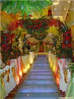 石家庄婚礼拍摄 