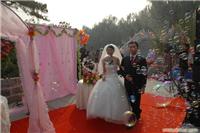 石家庄室外婚礼 