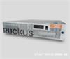 Ruckus Wireless ZoneDirector 5000