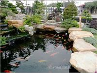 上海假山鱼池设计,假山鱼池工程