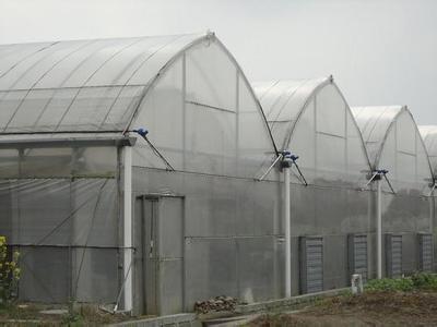 上海温室大棚设备_连栋塑料温室大棚
