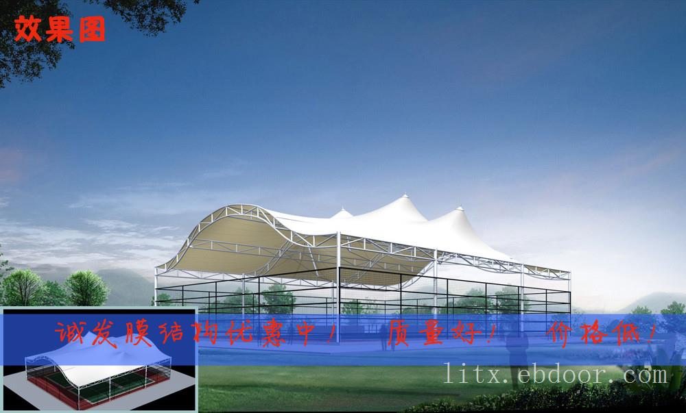 赛德乐900g  膜材批发加工安装