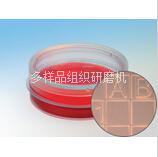 易必迪 ibidi细胞定位格子培养皿μ-Dish 35mm Grid-500