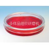 易必迪 ibidi 细胞培养 u-Dish 50mm, low