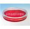 易必迪 ibidi 细胞培养 u-Dish 50mm, low