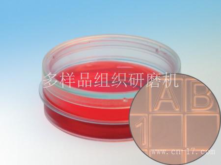 易必迪ibidi 细胞定位格子培养皿μ-Dish 35 mm high， glass bottom Grid-500