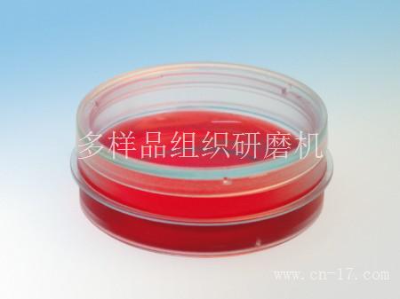 易必迪 ibidi 细胞培养皿 u-Dish 35mm, high