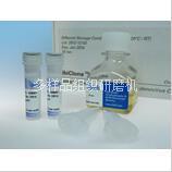 易必迪 ibidi腺病毒克隆试剂盒 ibiCloneTM Adeno Adenovirus Cloning Kit