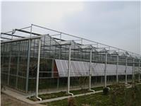 玻璃智能温室大棚_上海温室大棚安装