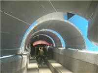 亚克力海底隧道-上海尊海亚克力水族工程