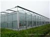 玻璃温室建设_上海玻璃温室安装
