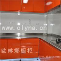 上海欧琳娜橱柜公司定制家用全不锈钢整体橱柜 不锈钢非标产品