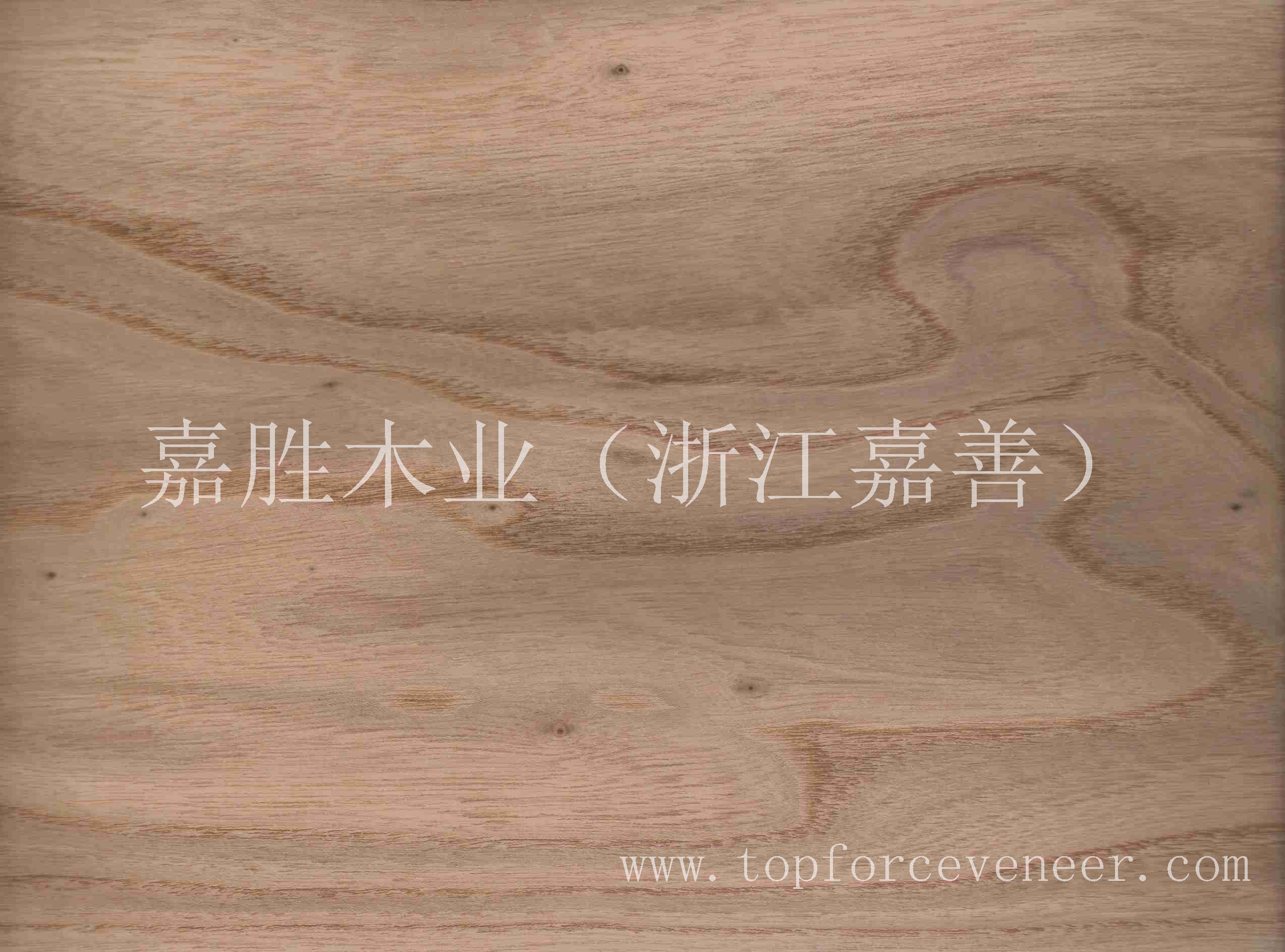 河南榆木木皮,Henan Elm Wood Logs Veneer,嘉胜木业<浙江嘉善干窑>,专业黑胡桃原木木皮Walnut logs and Ven