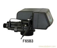 软化水设备控制阀TMFB65B3 