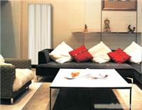 钛镁合金复合散热器 